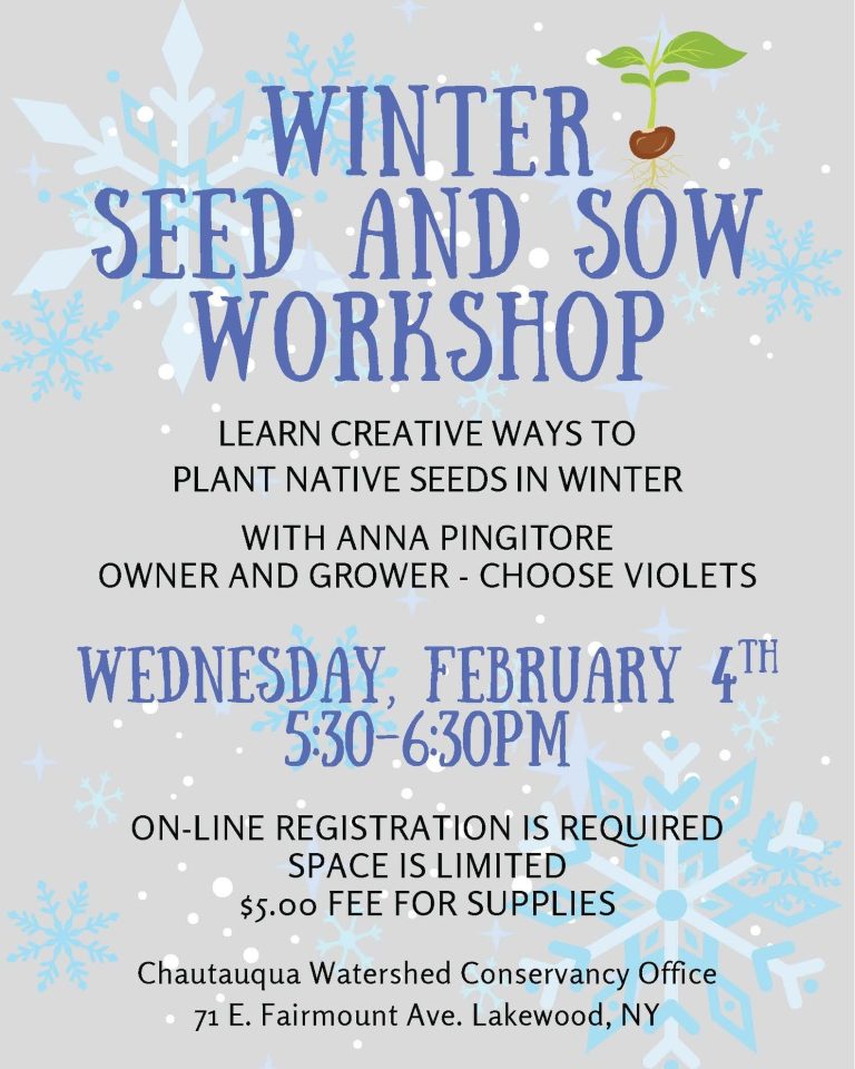 611852958_1413312107491540_1281414107941499635_n