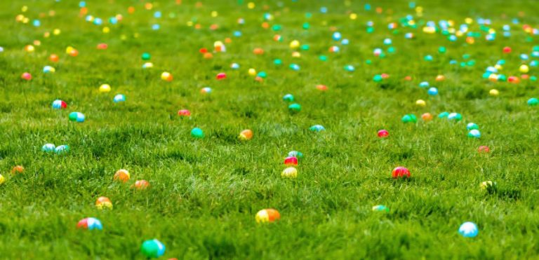 613649287_1289965656489214_1036781128596523143_n