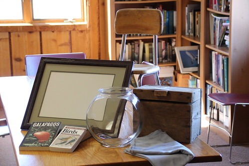 40201733555_6fb55fe7d8