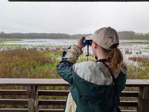 54498591127_02e69ffc02