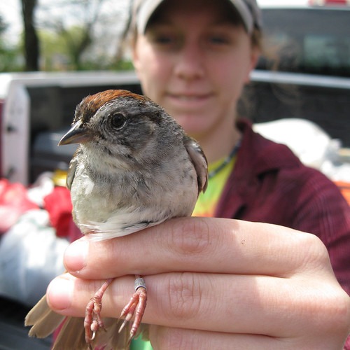 5699324746_416cf6b23b (1)