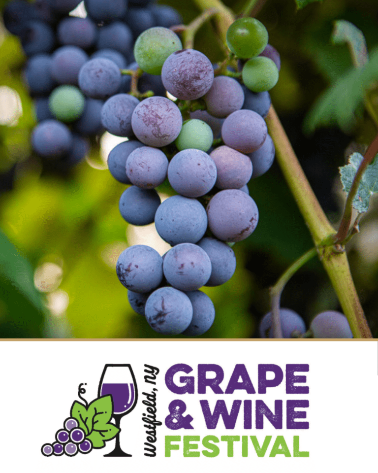Wine-Grape-Festival
