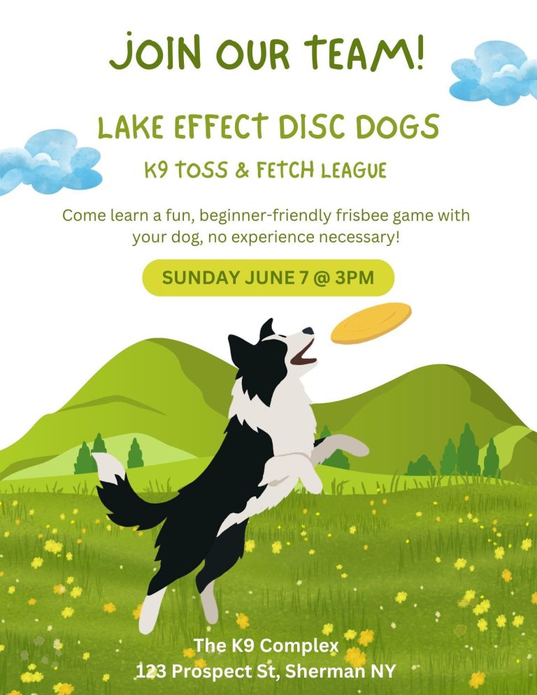 lake effect disc dogs