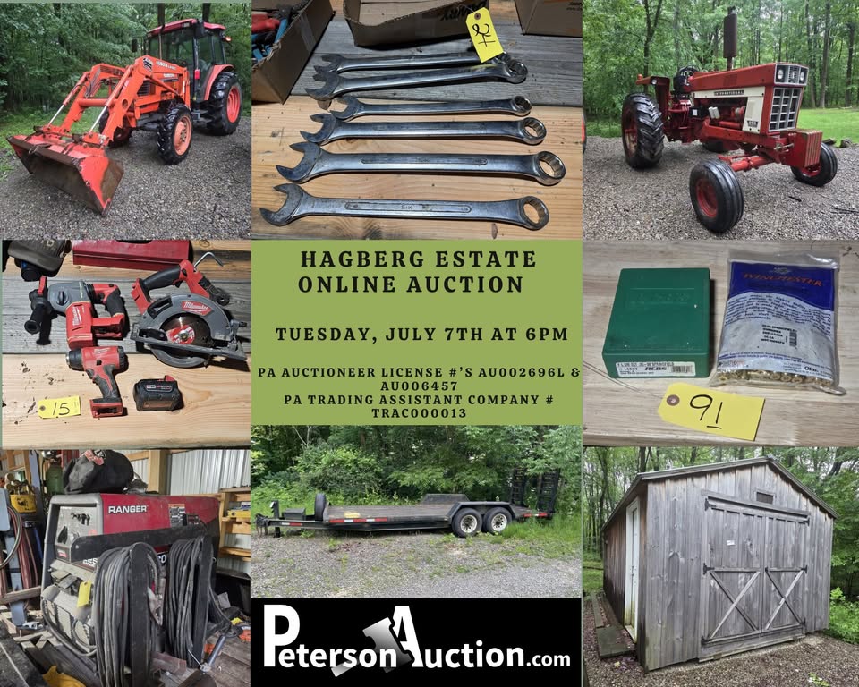 hagberg online auction