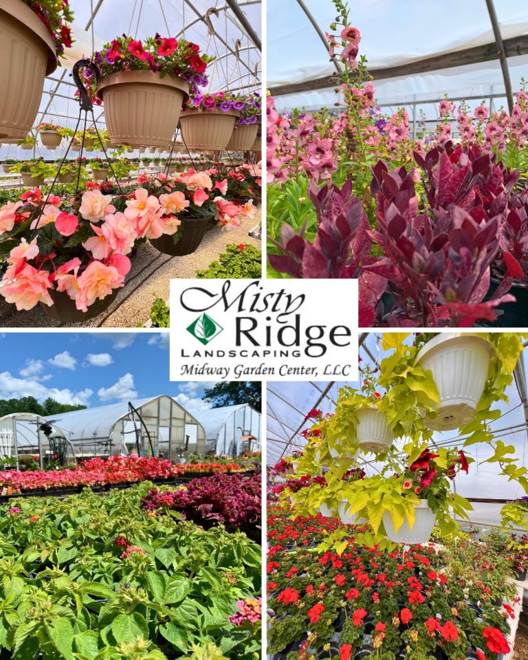 midway garden center