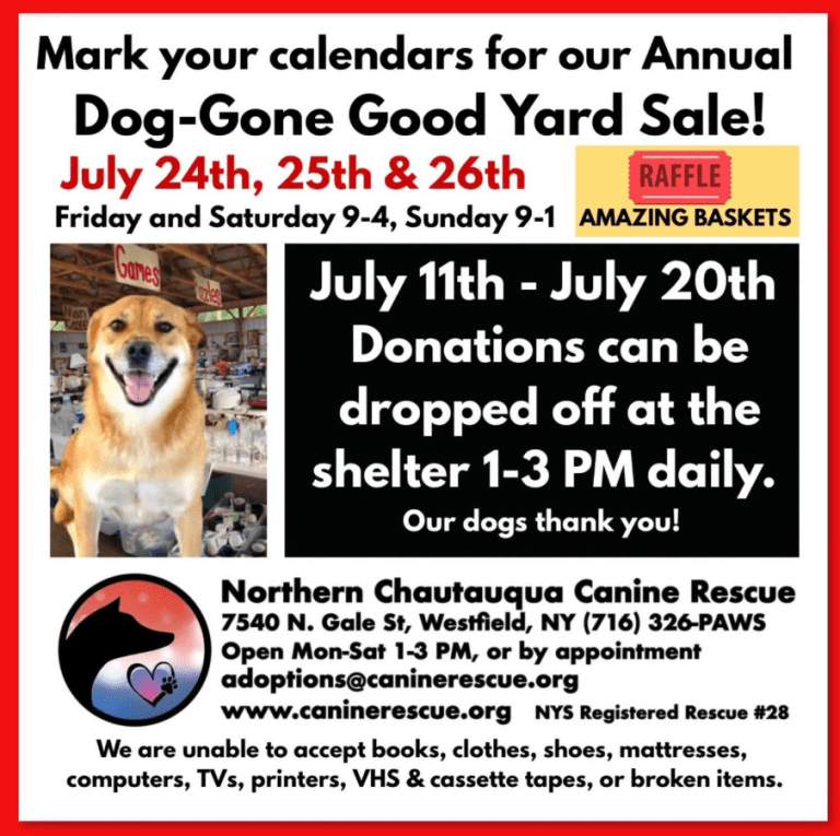 dog yard sale
