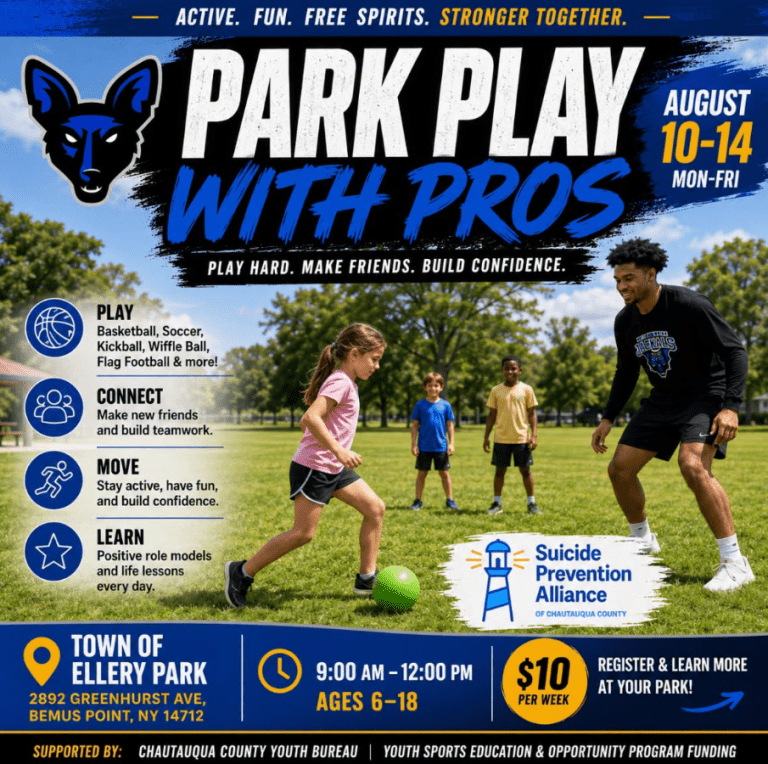 park play with the pros