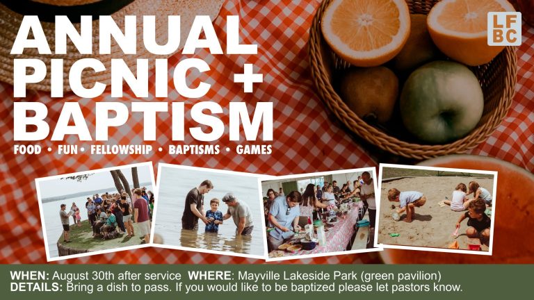 annual picnic and baptism