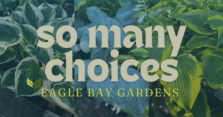 garden tours