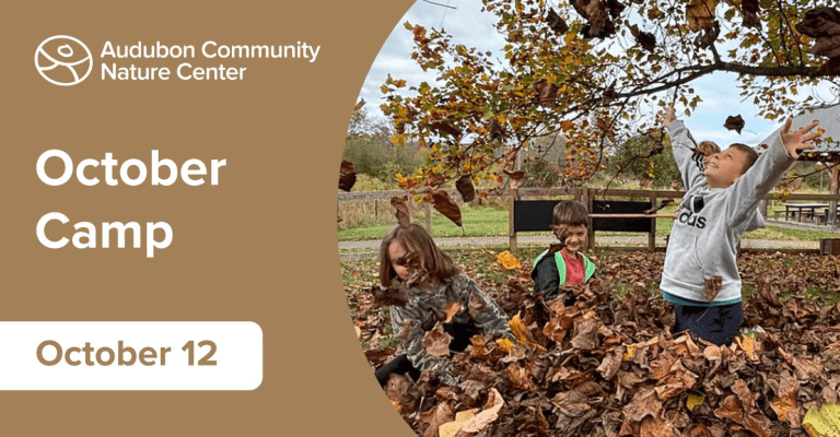 Pokemon GO Gathering @ Audubon Nature Center