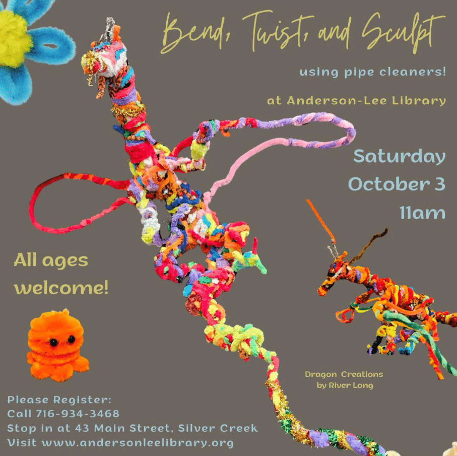 Pipe Cleaner Crafts @ Anderson Lee Library