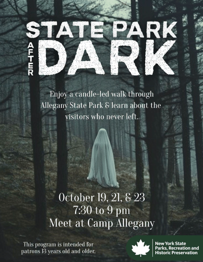State Park After Dark